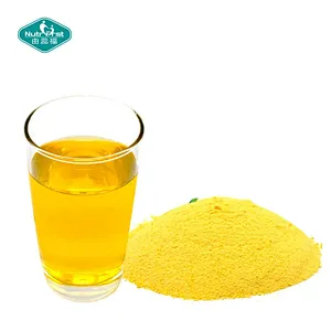 Health Supplement Energy Regain Reishi Magnesium Acacia Drink Powder for Mind Relax
