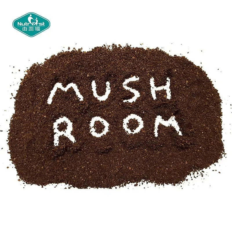 Mushrooms Hot Chocolate Mix Turkey Tail Chaga Maitake Shiitake Reishi Mushroom Cacao Powder Mushroom Supplements Powder
