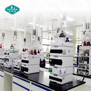 Health Supplement Energy Regain Reishi Magnesium Acacia Drink Powder for Mind Relax