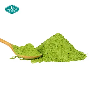 Superalimentos de marca privada Nutrifirst Extracto vegetal en polvo súper verde para la salud intestinal