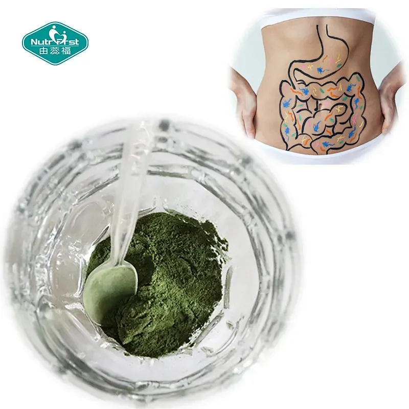 Polvo hecho a medida sano de Chlorella Moringa de la hierba del trigo de la ayuda de la digestión de Nootropic de los verdes
