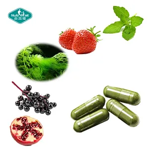 Fórmula a medida Superfood Ultimate Nutrients Blend Powder Cápsula vegana para la salud digestiva