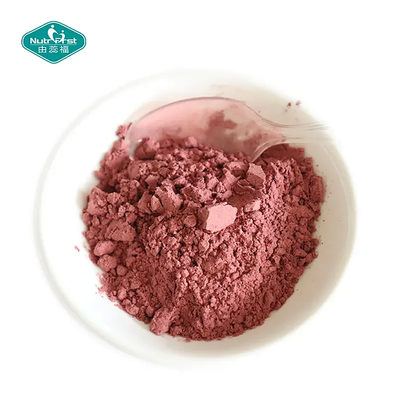 Health Superfood Supplement Ultra Berry Fruit Blend Beauty Drink Powder for Skincare