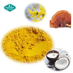 Health Supplement Energy Regain Reishi Magnesium Acacia Drink Powder for Mind Relax