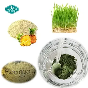 Polvo hecho a medida sano de Chlorella Moringa de la hierba del trigo de la ayuda de la digestión de Nootropic de los verdes
