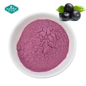 Sin azúcar ni aditivos Superalimento liofilizado en polvo de bayas de Acai para bebidas, batidos y bebidas