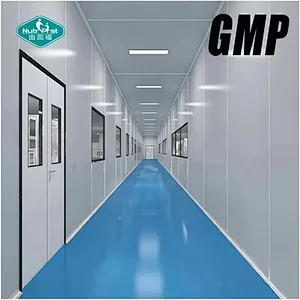 Polvo de superalimentos Super Greens de marca privada