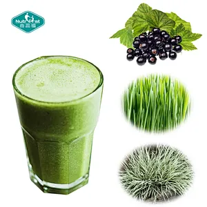 Superfood Green Powder Super Smoothie Water Soluble Health Powder for Immune Health