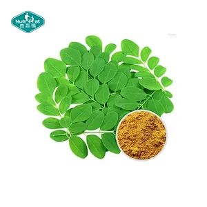 Gomitas veganas OEM Hot Ausreson: extracto orgánico de hoja de moringa, suplemento natural puro