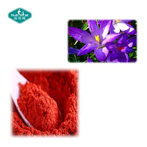Nutrifirst OEM Natural Saffron Extract Supplement Gummies - Private Label Customization