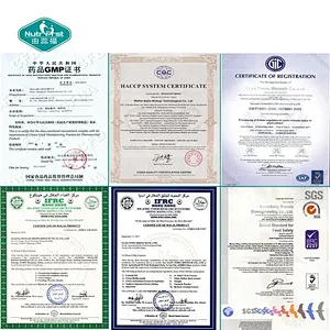 Private Label Gastrointestinal Supplements Lactobacillus Reuteri Probiotics in Sachets for Constipation Relief