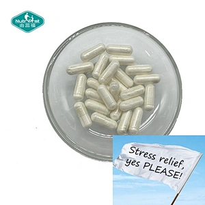 Nutrifirst Nootropic Pills Brain Supplement Alpha L Theanine Vegan Nootropics Capsules Improves Cognitive