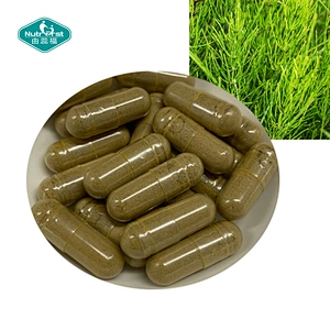 Healthy Hair, Skin & Nails Horsetail Herb Extract Supplement Capsules
