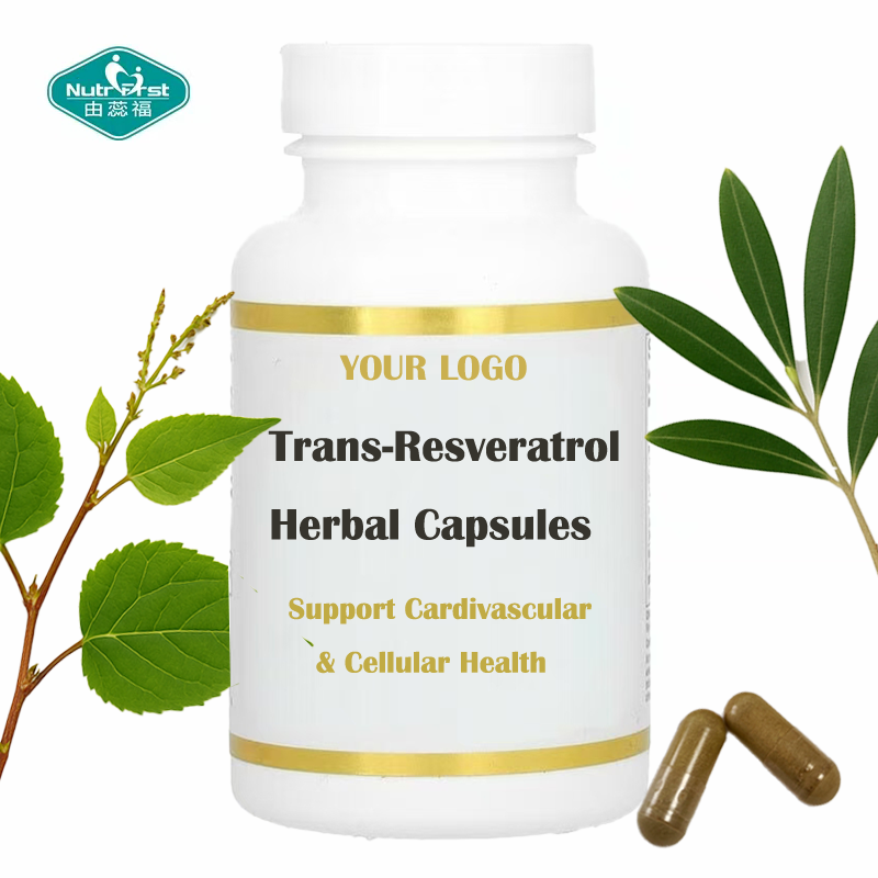 Nutrifirst OEM Suplemento antienvejecimiento y para la salud cardiovascular Cápsulas de extracto de hoja de olivo trans-resveratrol