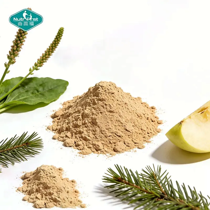 Polvo premium para la salud digestiva con arabinogalactanos de manzana, plátano y alerce para OEM