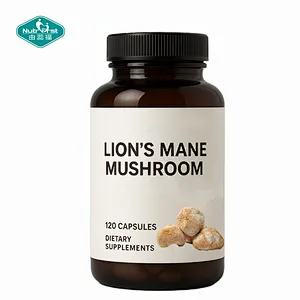 Lions Mane Mushroom Capsules | Natural Hericium Erinaceus Extract | Brain & Focus Support | OEM Dietary Supplement Manufacturer