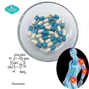 Bone Density Vegan Supplements Glucosamine Chondroitin MSM Capsule Sulfate Chondroitin
