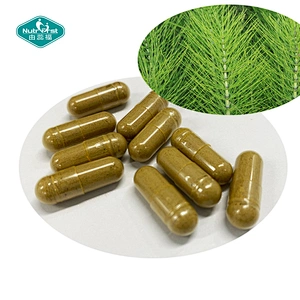 Healthy Hair, Skin & Nails Horsetail Herb Extract Supplement Capsules