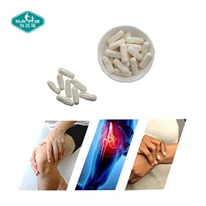 Nutrifirst Chondroitin Sulfate Capsules Joint Health Dietary Supplement Capsules