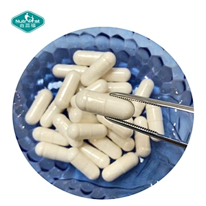 OEM Apple Cider Vinegar Vegan Capsules