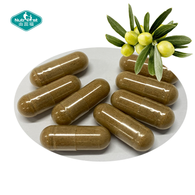OEM Olive Leaf Extract Capsules 20% Oleuropein Supplement