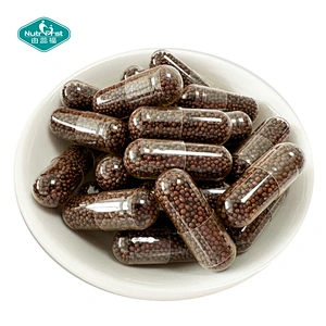 Nootropics Reishi Lions Mane Cordyceps Chaga Shiitake Mushroom Blend Extended Release Beadlets Capsules