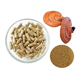 Chinese Herbal Supplements Ganoderma Powder Capsule Herb Reishi Mushroom Lingzhi Extract Pills