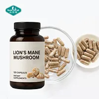 Lions Mane Mushroom Capsules | Natural Hericium Erinaceus Extract | Brain & Focus Support | OEM Dietary Supplement Manufacturer