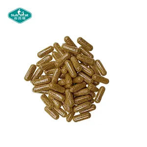 OEM Sustained Release Vitamin C Pellets Capsule Natural Acerola Rose HIPS Blend Immune Collagen Support Vegan