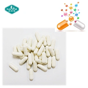 Wholesale Non-GMO Bone Health Supplement Multimineral Blend Vitamin D Calcium Yellow Dock Creatine Bulk Capsule Pills