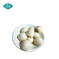 OEM Creatine Monohydrate Gummies Muscle Strength Sports Nutrition Supplement Private Label