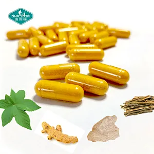 OEM Joint Care Supplement Capsules Devil's Claw Turmeric Boswellia Serrata Extract Pill for Joint Pain Relief & Mobility Support