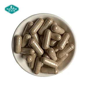 OEM Private Label Iron Bisglycinate Chelate Capsules for Iron Supplement and Daily Wellness