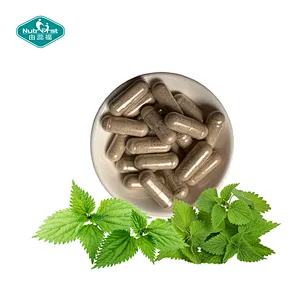 Nutrifirst Custom Customization Powerful Antioxidant Properties Benefits for Joint Stinging Nettles Capsules