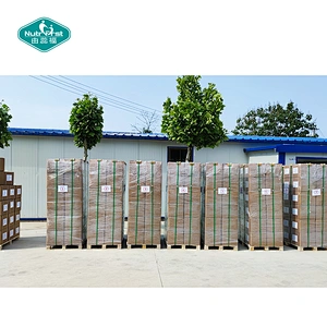 Nutrifirst OEM Customized Private Label Sea Buckthorn Capsule