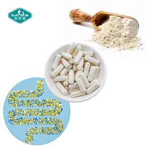 OEM Probiotic Capsules for Men & Women Improve Gut Health