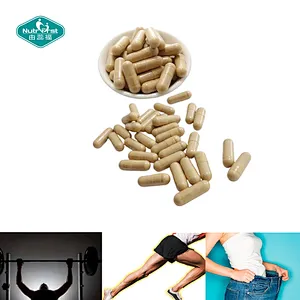 Nutrifirst Weight Management&Appetite Suppressant Capsules With L-Carnitine Green Tea Extract Dietary Supplement