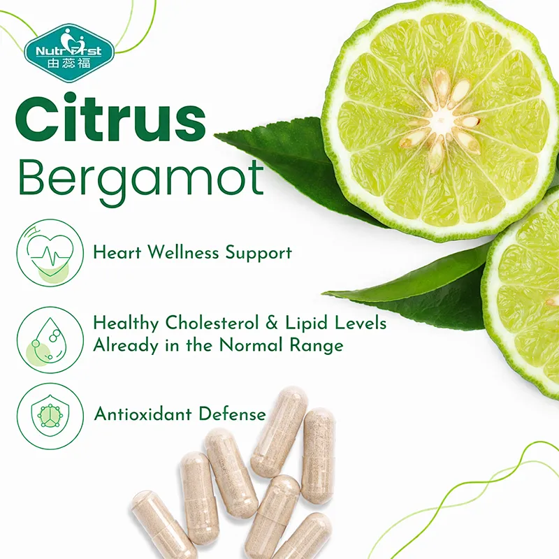 Nutrifirst OEM Natural Citrus Bergamot Extract 600mg Capsules Heart Health  Balance Antioxidant Supplement