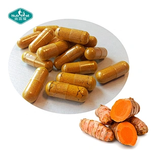 Nutrifirst Supplements Curcumin Turmeric Ginger Extract Capsule