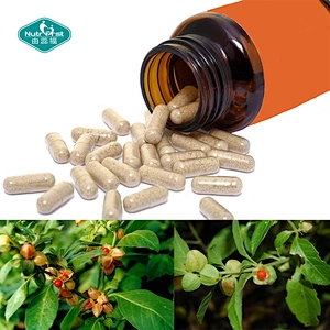 Nutrifirst Health Supplements Withania Somnifera Black Pepper Ashwagandha Powder Root Extract Capsules