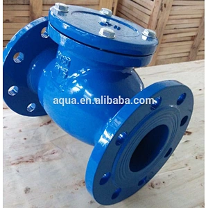 Swing Check Valve