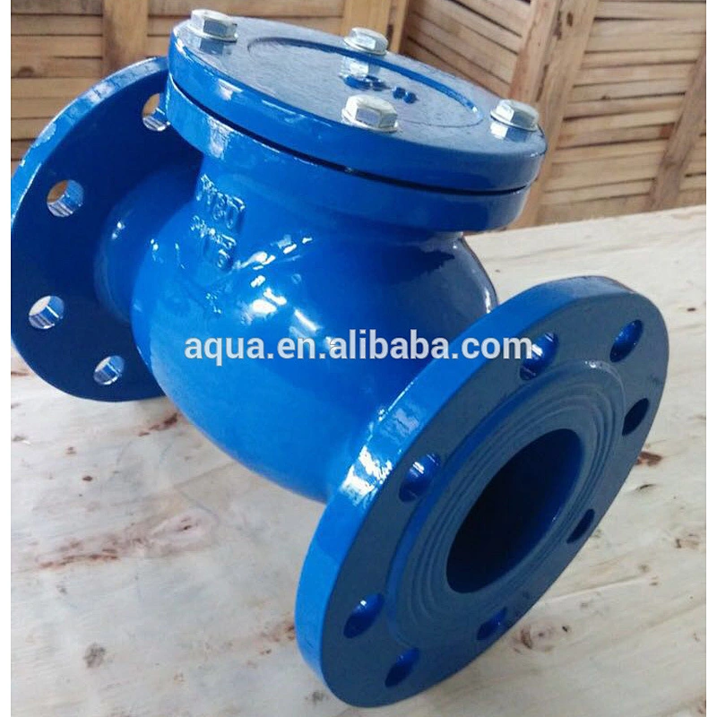 Swing Check Valve