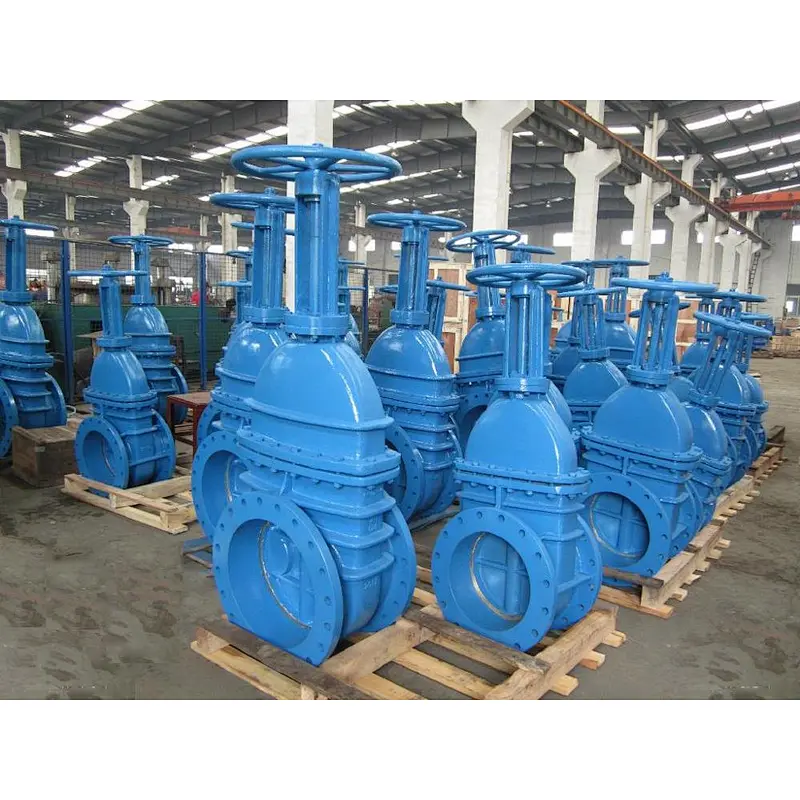Large Diameter Rubber wedge Gate Valve