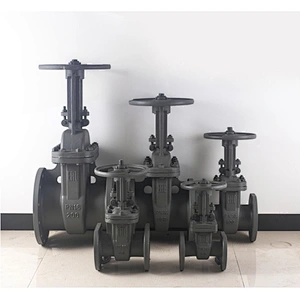 DN50-DN300 Gost Steel Gate Valve