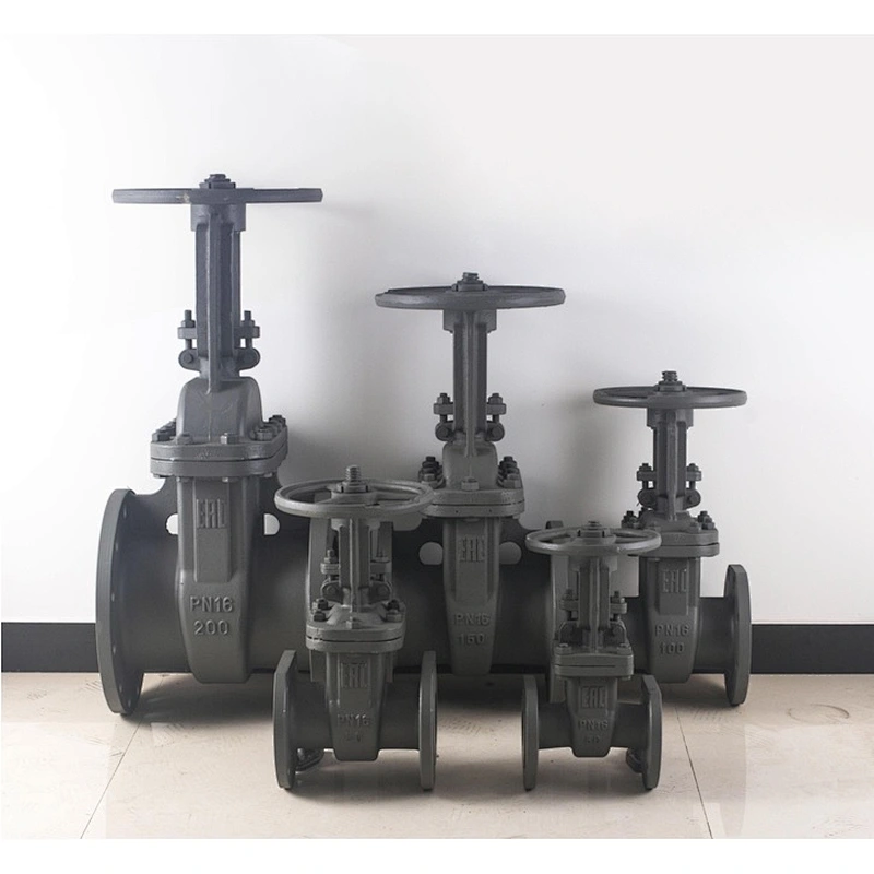 DN50-DN300 Gost Steel Gate Valve