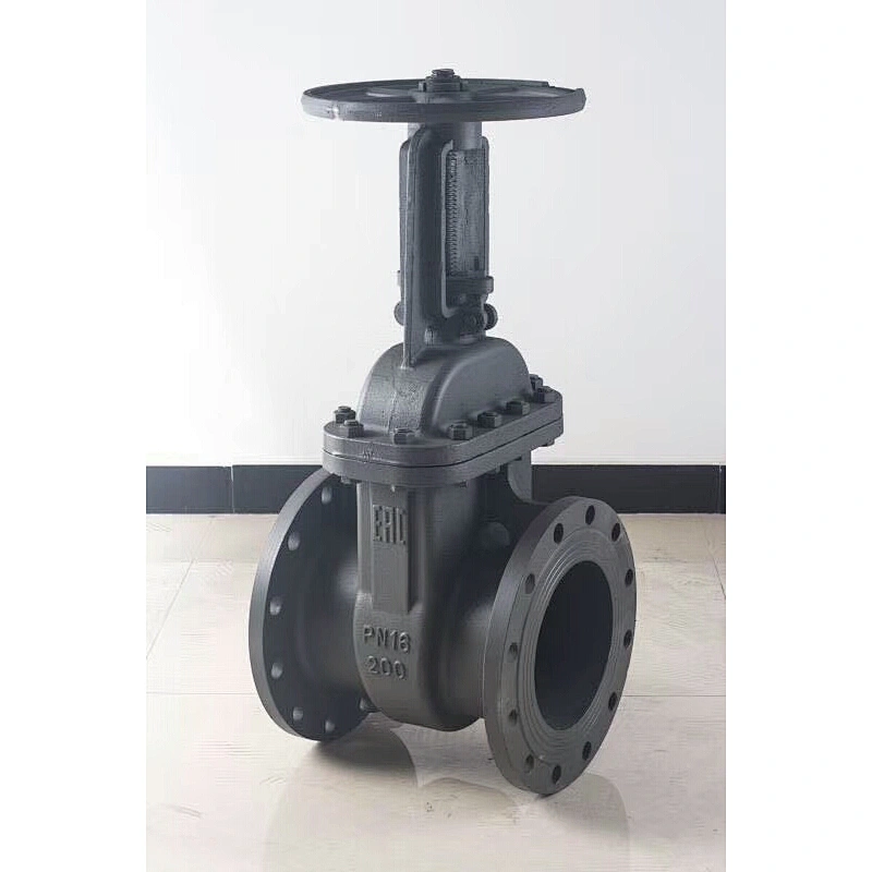 DN50-DN300 Gost Steel Gate Valve