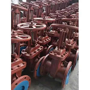 DN50-DN300 Gost Steel Gate Valve