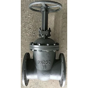 DN50-DN300 Gost Steel Gate Valve