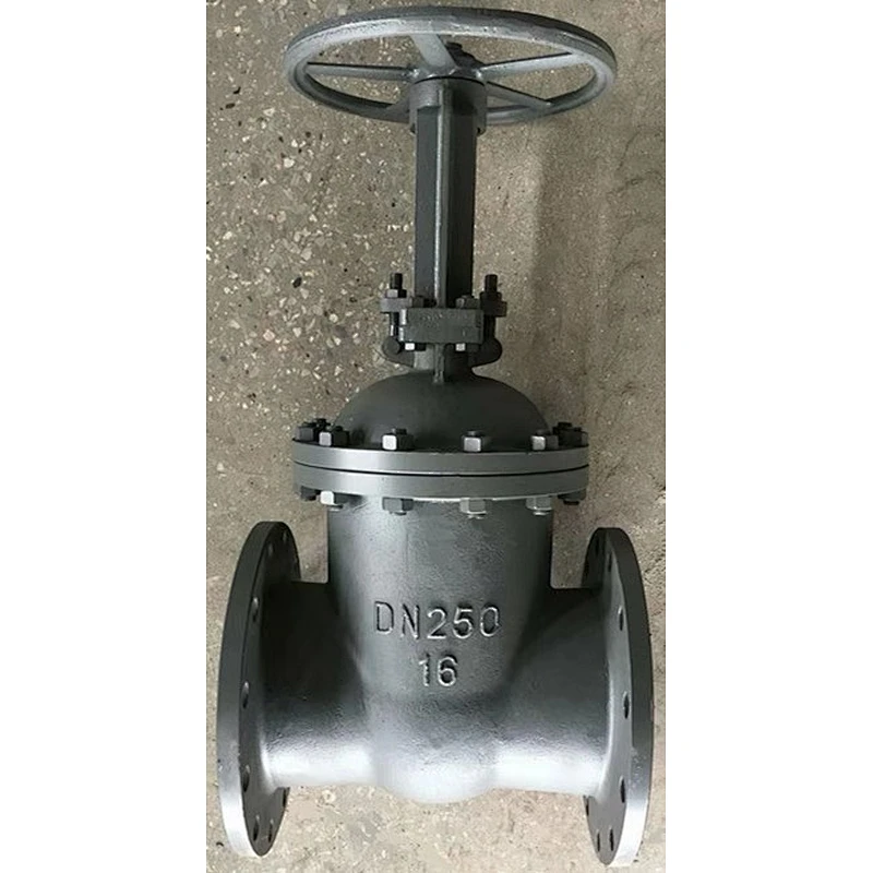 DN50-DN300 Gost Steel Gate Valve
