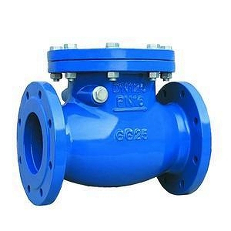 Swing Check Valve